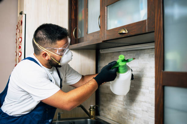Best Pest Control Near Me in Searcy, AR