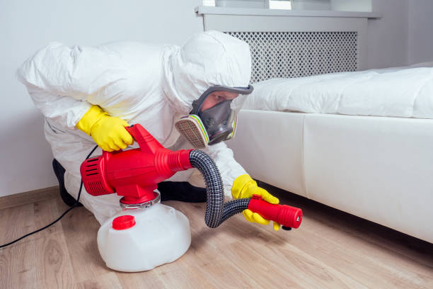 Best Flea Control Services  in Secy, AR