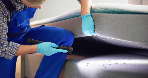 Best Cockroach Control Services  in Secy, AR