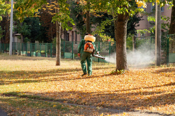 Best Emergency Pest Control  in Secy, AR