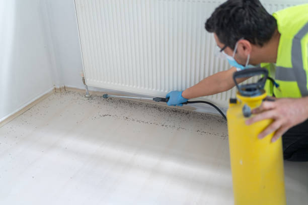 Pest Control for Restaurants in Searcy, AR