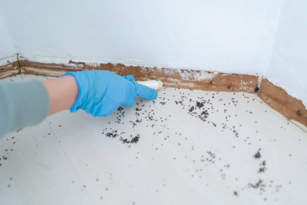 Best Bed Bug Extermination  in Secy, AR